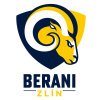 Aukro Berani Zlin