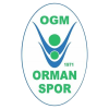 Ormanspor