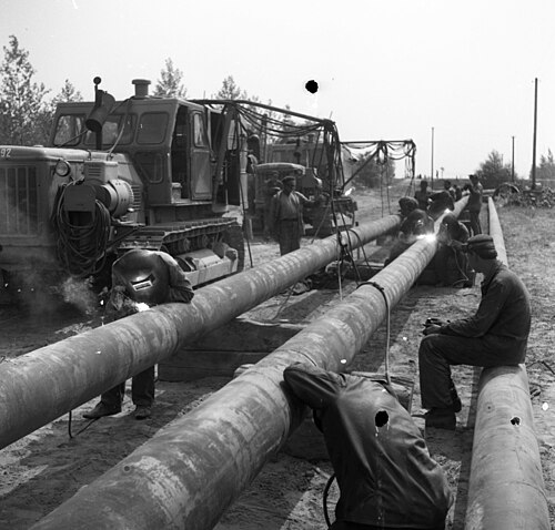 Druzhba