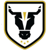 Bulls Akademi
