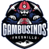 Gambusinos de Fresnillo